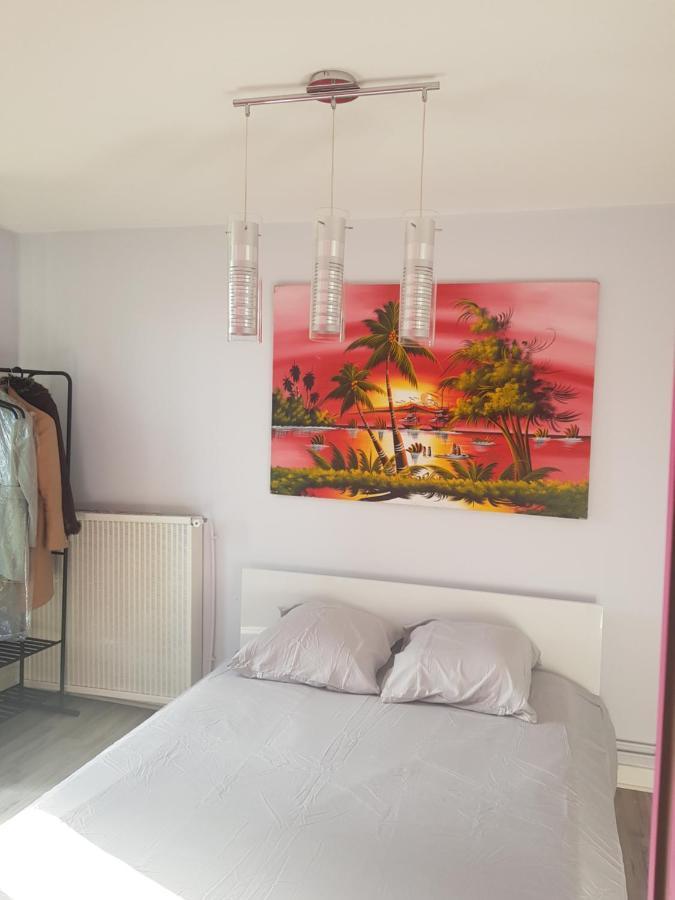 Chambres A Louer Dans Appartement Balcon - Wifi - Parking Gratuit Nevers Dış mekan fotoğraf